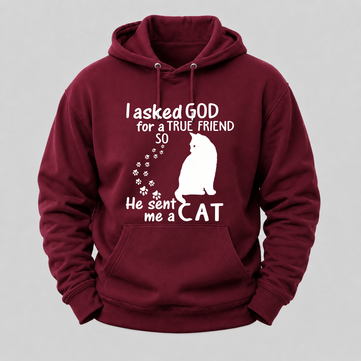 I Asked God For A True Friend Cat Hoodie