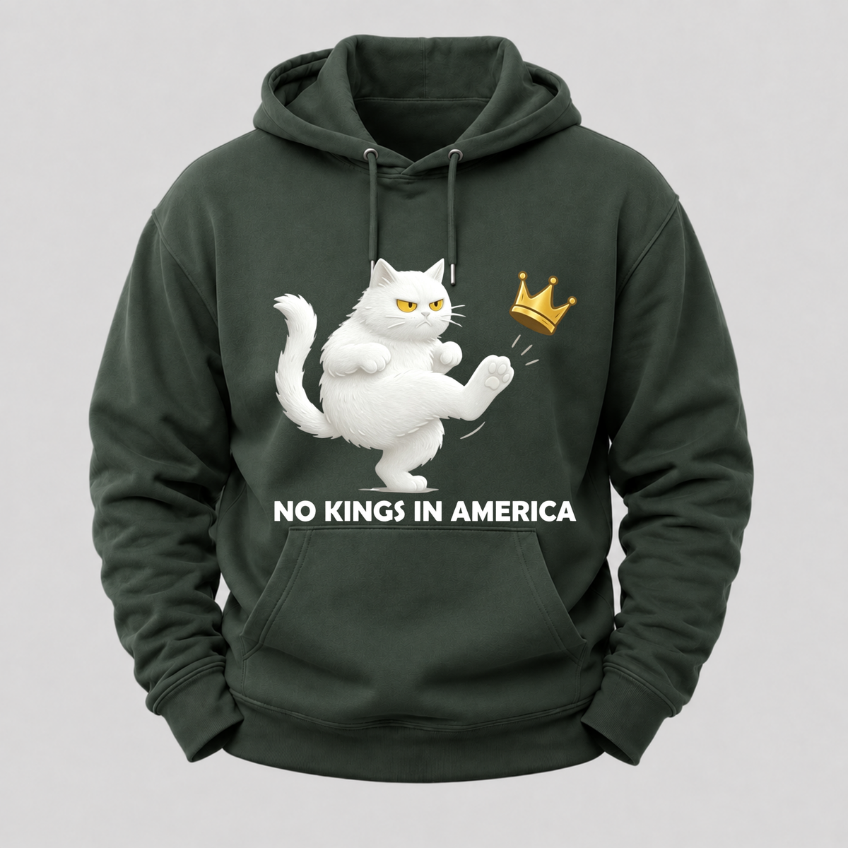 No Kings In America We The People Political Hoodie